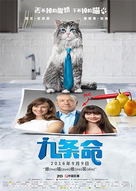 啪啪福利视频
